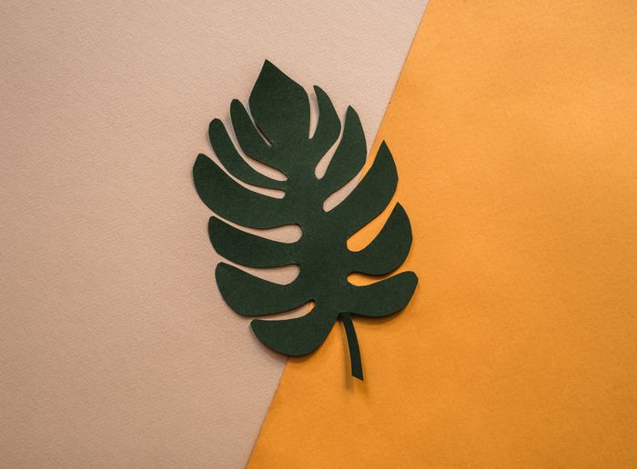 Botanical detail
